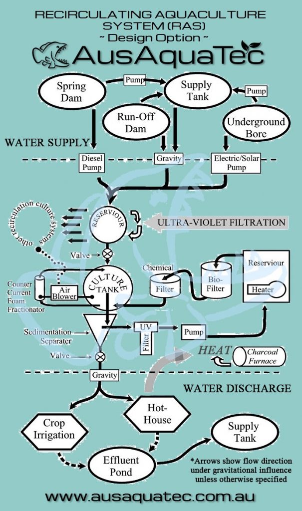 ras aquaculture business plan